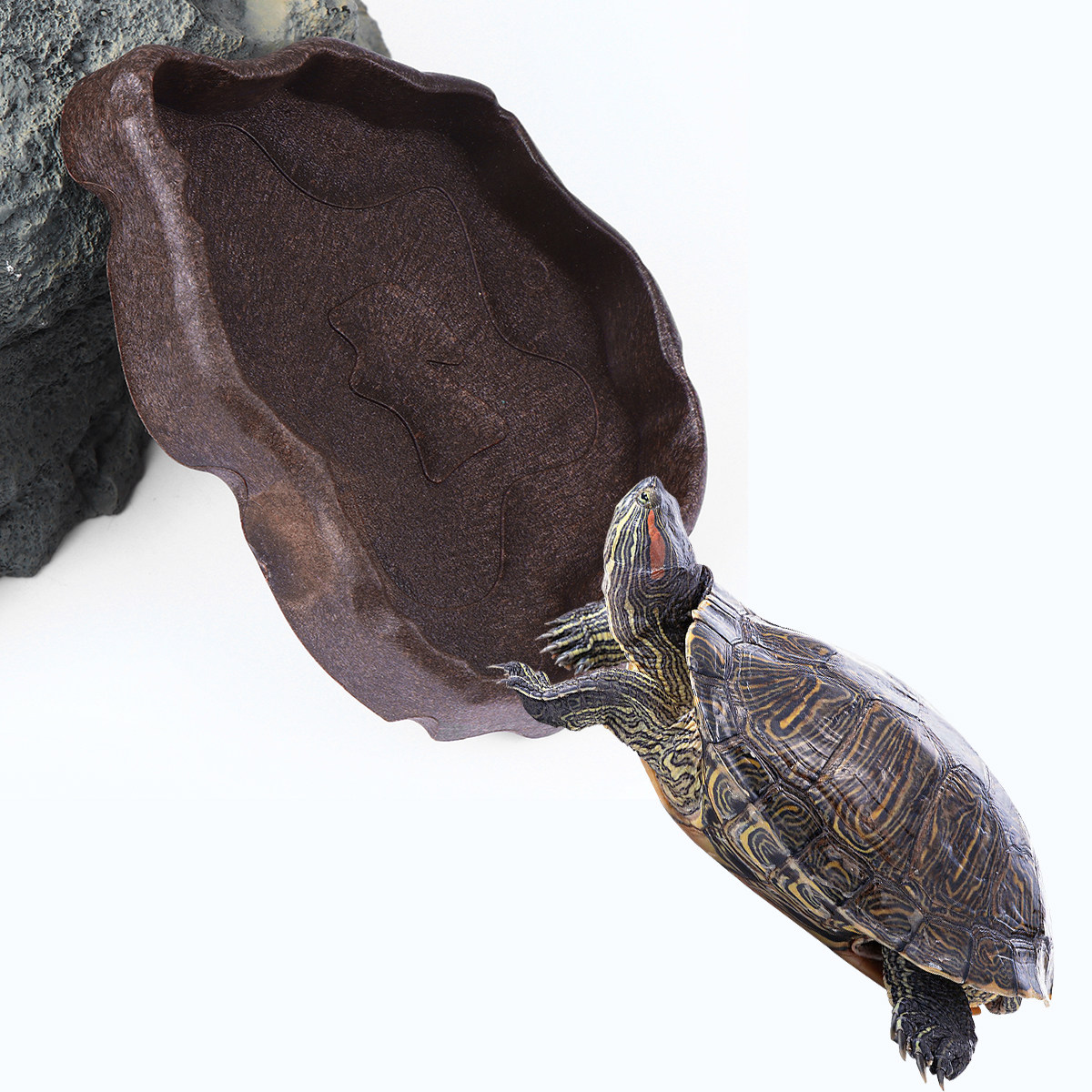 Water Dish Reptile - Sürüngen Reçine Yemlik, Kahve Boyutu S,