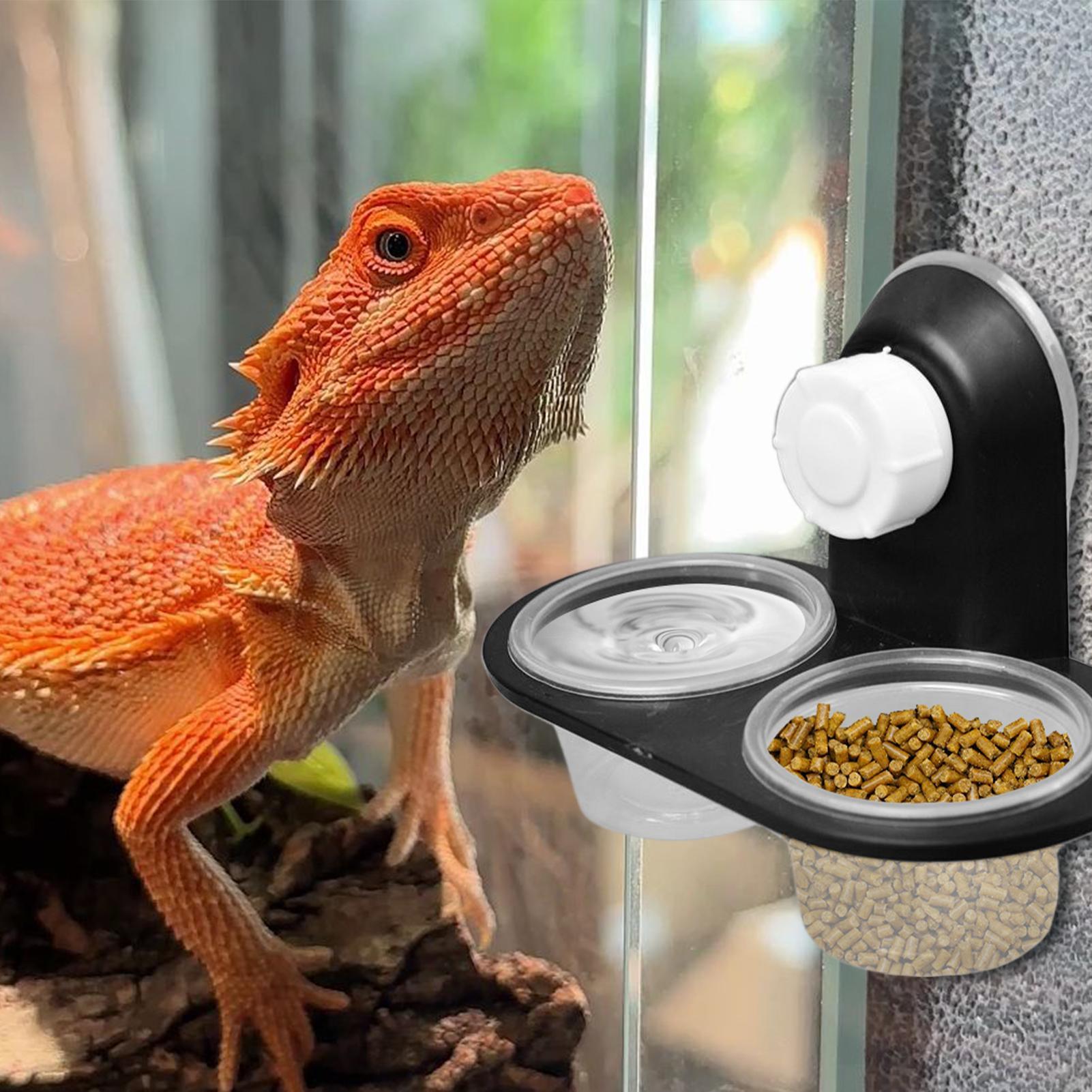 Water Dish Reptile - Gecko Mama Kabı Gecko Su Kabı