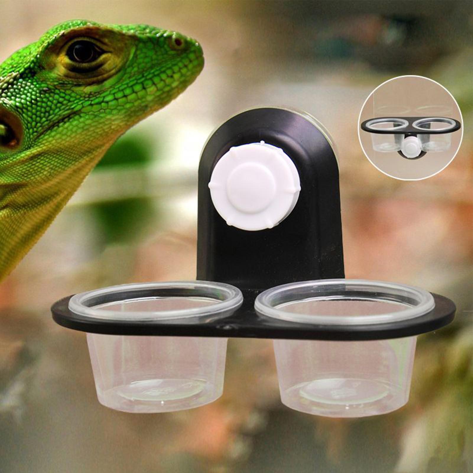 Water Dish Reptile - Gecko Mama Kabı Gecko Besleme Kapları
