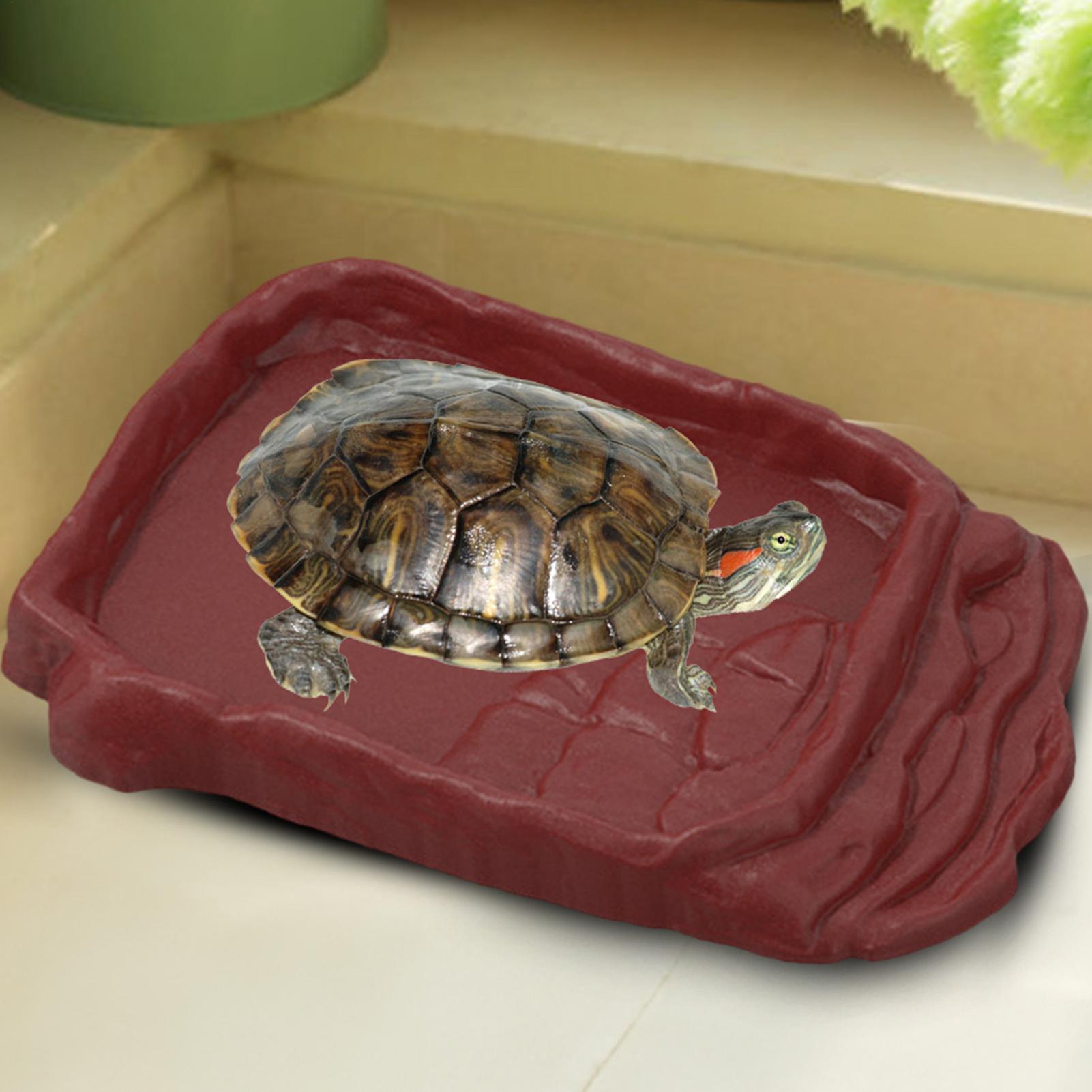Water Dish Reptile - Kaplumbağa Küveti Su Kabı Kaymaz Merdivenler
