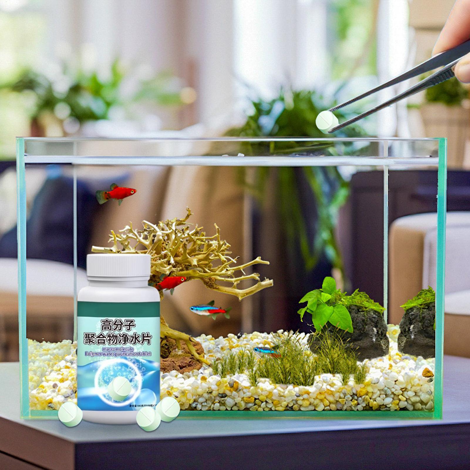 Balık Tankı Yosun Giderici Akv - Water Dish Reptile incelemesi ve fiyatı