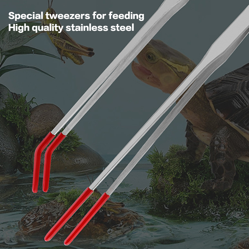 Uzman Akvaryum Araçları: Pasla - Feeding Tong Stainless incelemesi ve fiyatı
