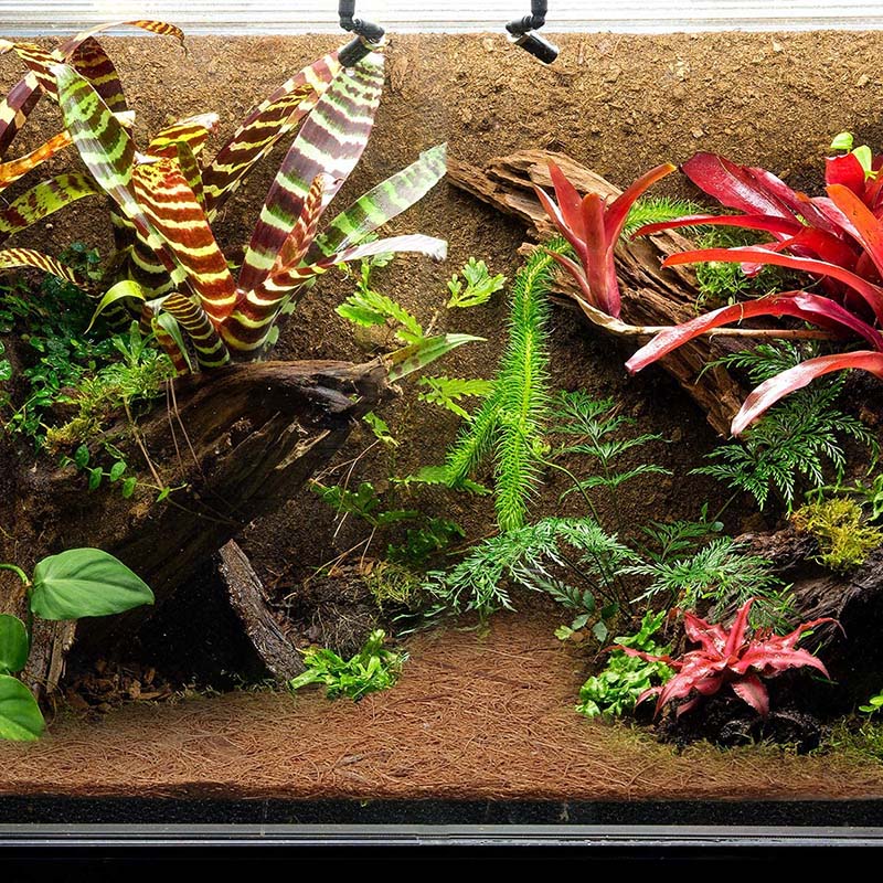 AT21-Doğal Hindistan Cevizi Li - Substrate Coconut Fiber incelemesi ve fiyatı