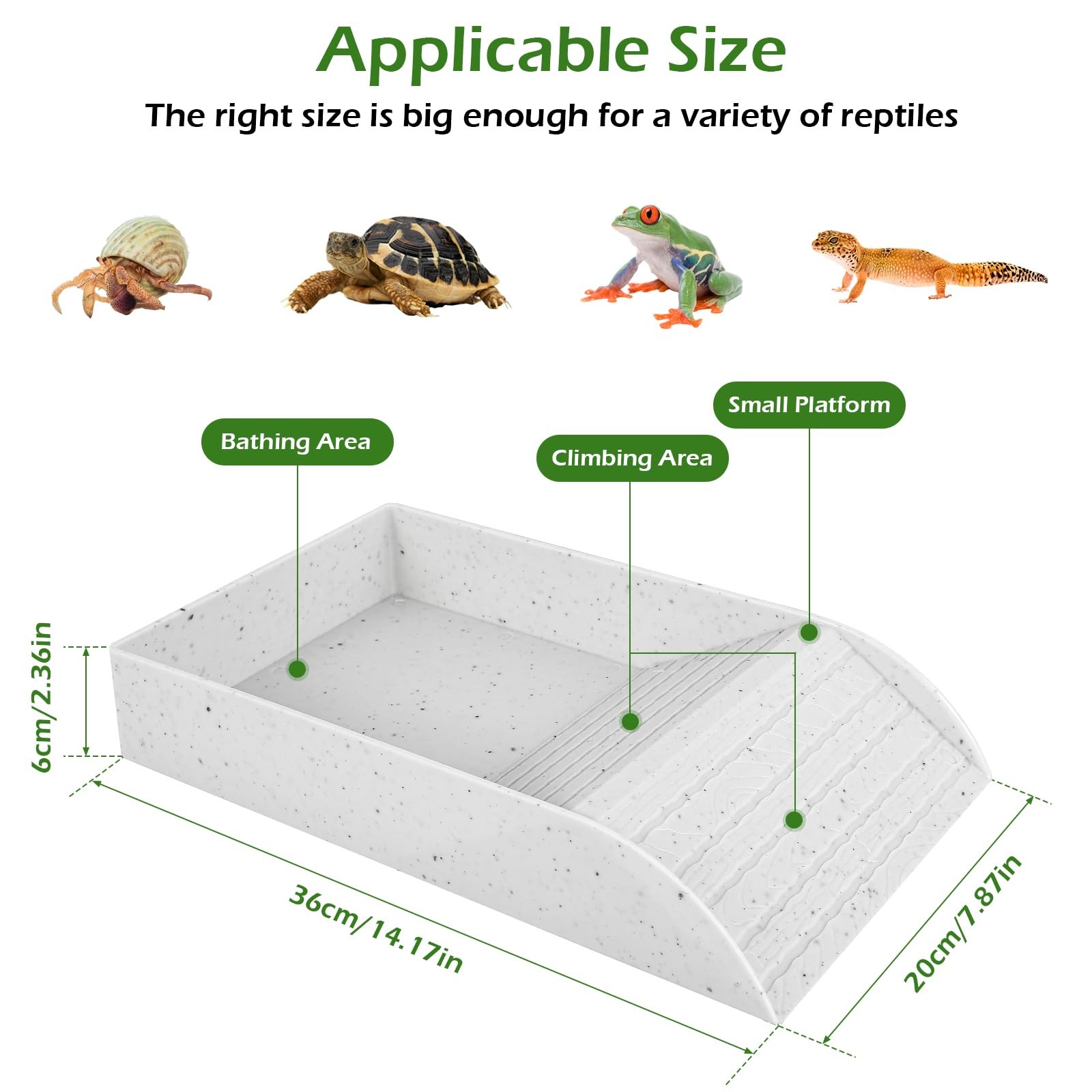 Kaymaz Kaplumbağa Banyo Tabağı - Water Dish Reptile incelemesi ve fiyatı