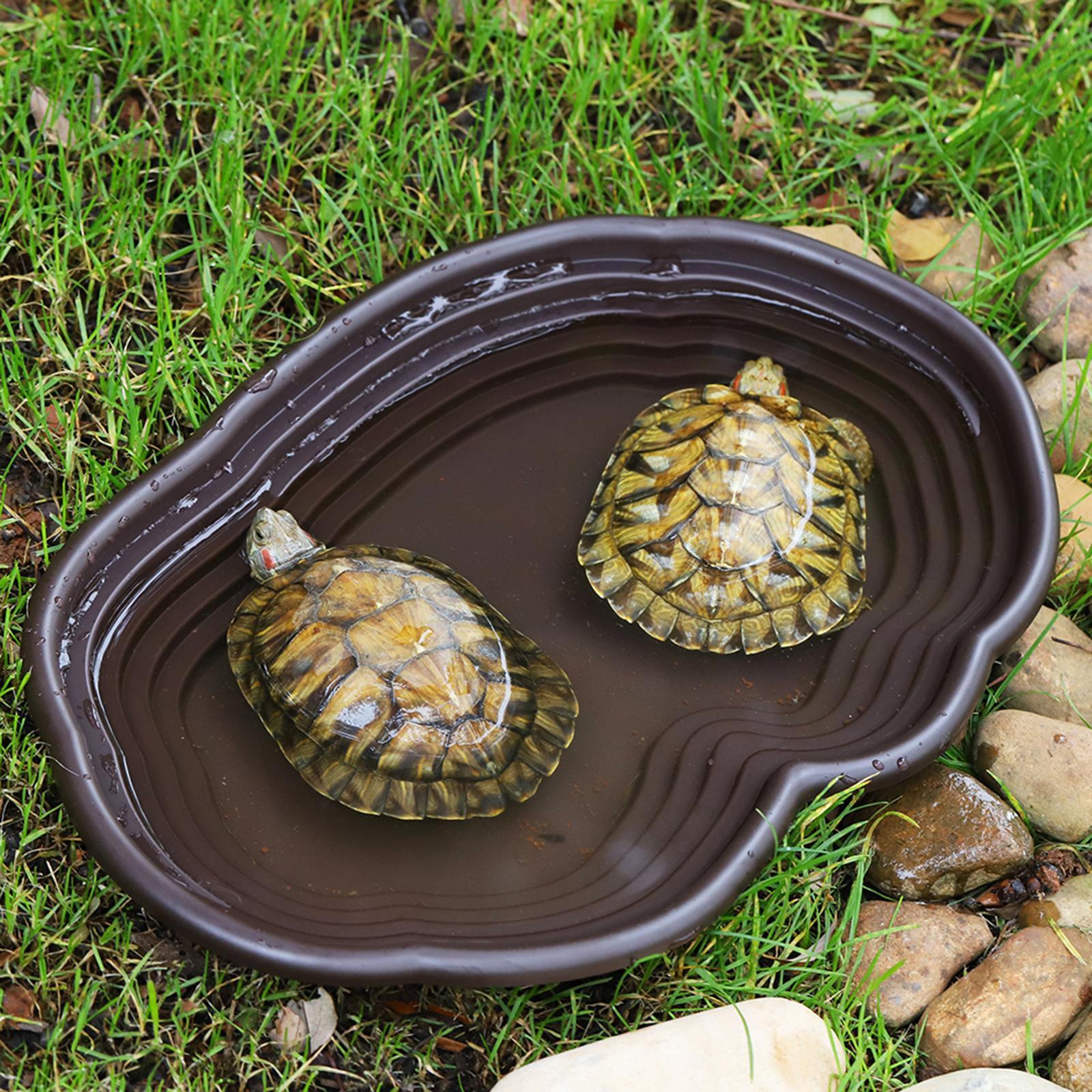Sürüngen banyo çanak kaplumbağ - Water Dish Reptile incelemesi ve fiyatı