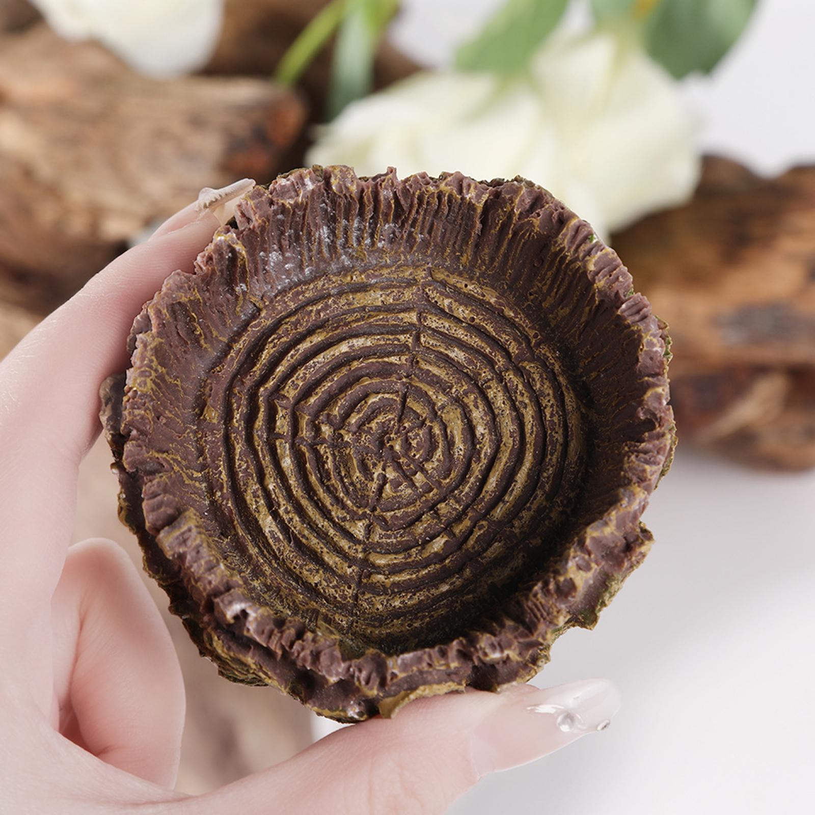 Sürüngen banyo çanak kaplumbağ - Water Dish Reptile incelemesi ve fiyatı