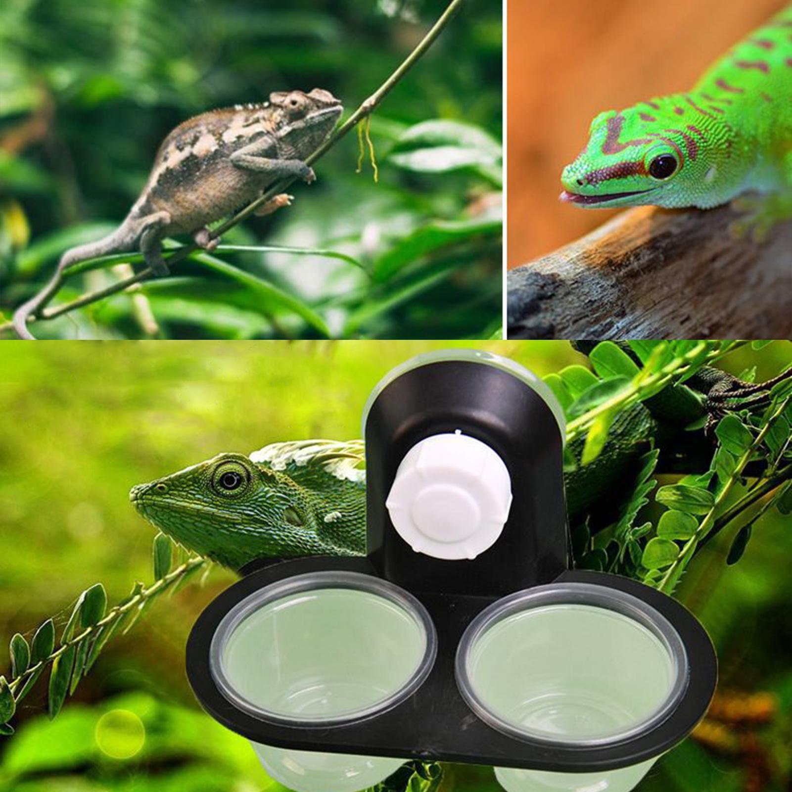 Gecko Mama Kabı Gecko Su Kabı  - Water Dish Reptile incelemesi ve fiyatı