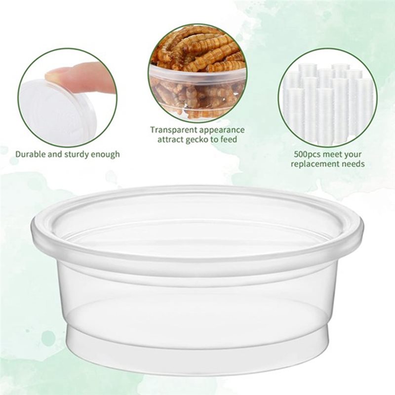 Crested Gecko Mama ve Su Besle - Water Dish Reptile incelemesi ve fiyatı