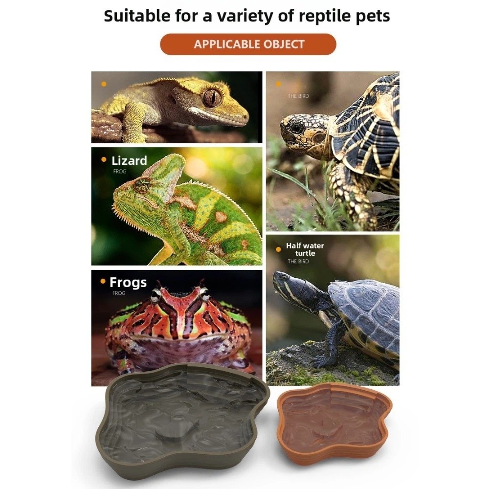 Yeni Plastik Kaplumbağa Su Hav - Water Dish Reptile incelemesi ve fiyatı