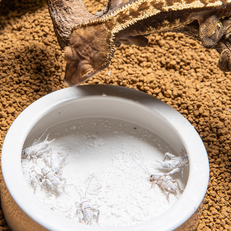 Kaplumbağa/Bartalı Ejderha/Des - Vitamin D3 Reptile incelemesi ve fiyatı