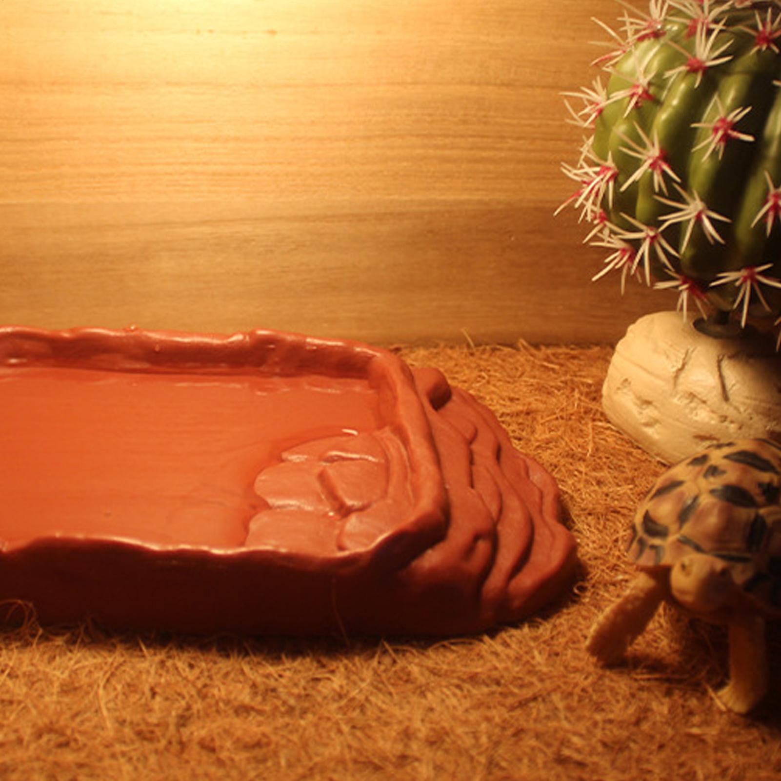 Kaplumbağa Küveti Su Kabı Kaym - Water Dish Reptile incelemesi ve fiyatı